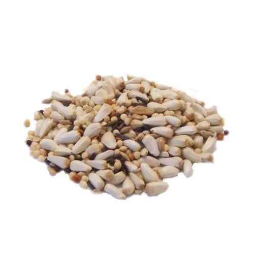 Squirrel Free 10LB Bird Seed