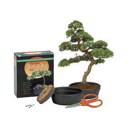 【希少】Bonsai Baby Products UOD Rev.4 Bonsai Mini Kit | Moss Danforth