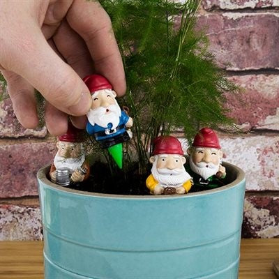 Mini Gnomes Set of 4