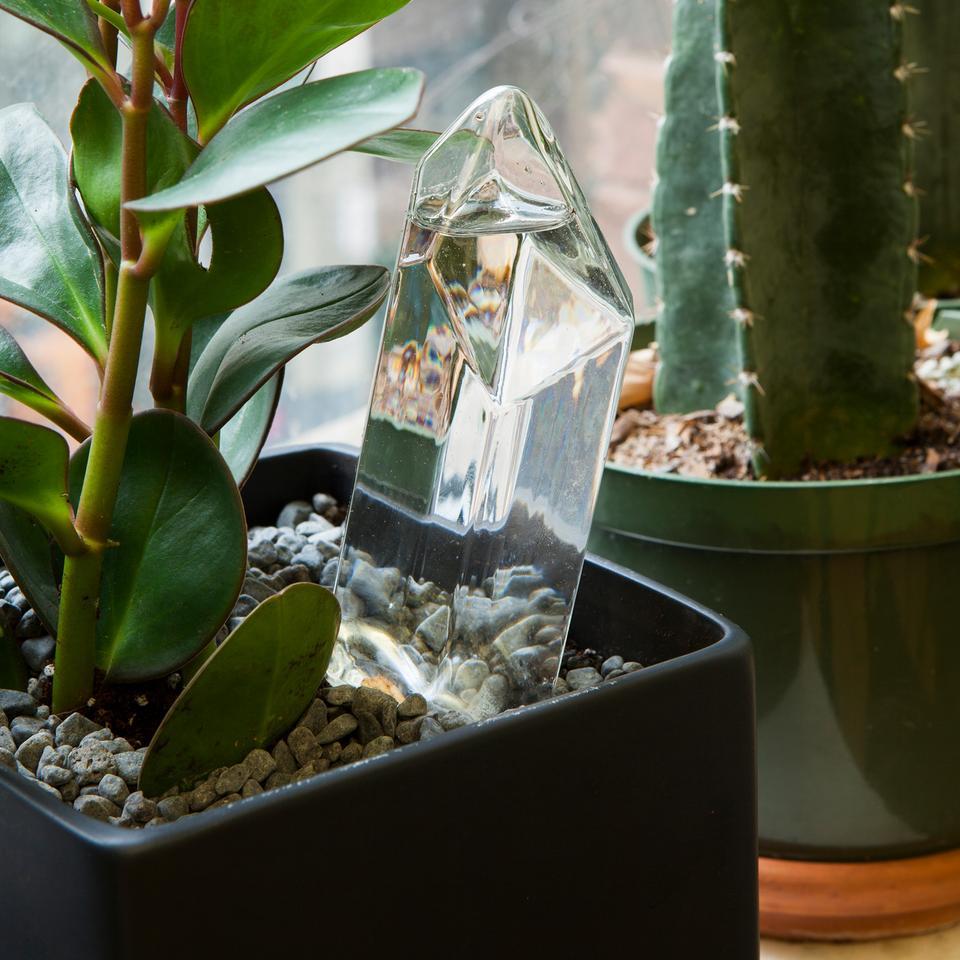 Crystal Watering Bulb