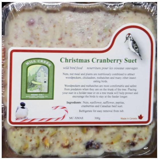 Christmas Cranberry Suet Cake