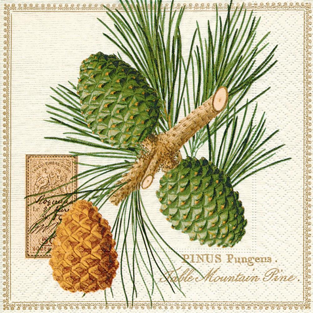 Mountain Pine Lunch Napkins, Pack/20