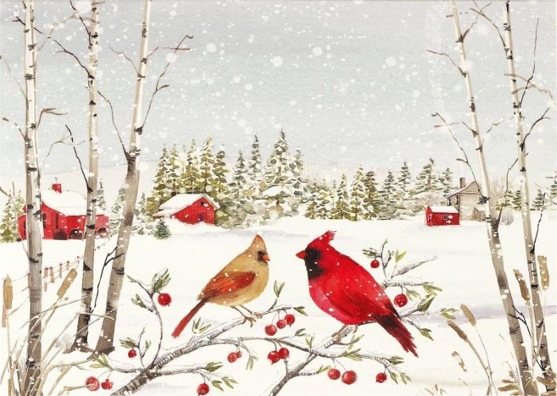 Cardinal In Winter Greeting Cards, Box of 20