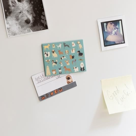 Rex London Best In Show Fridge Magnet