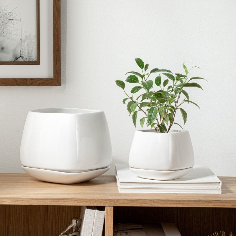 Mod Cube Planter with Saucer Base