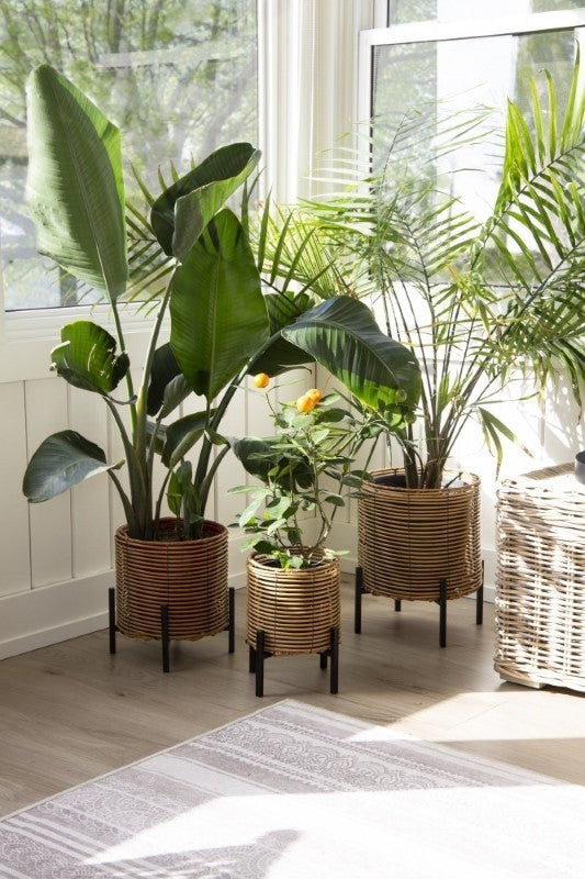 Raised Patio Planters