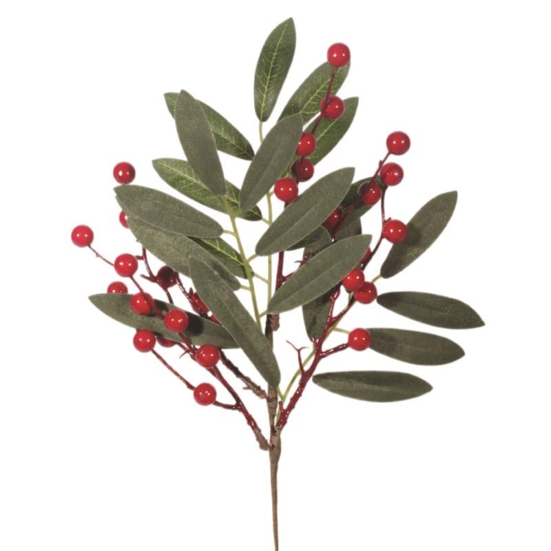 Olive Leaf Red Berry Pick