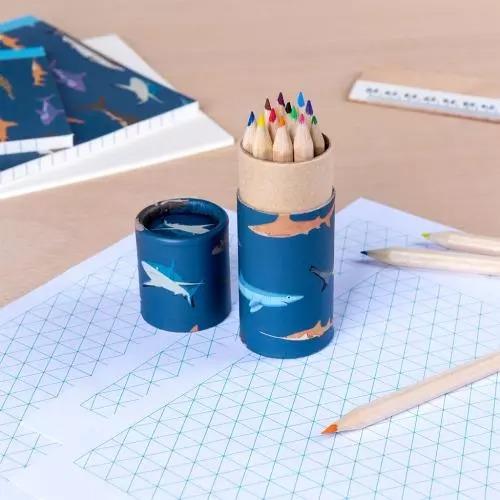 Rex London Sharks Coloured Pencils, Set of 12
