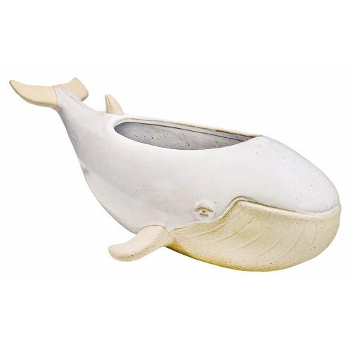 Sprouter Whale Planter