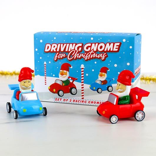 Driving Gnome Game