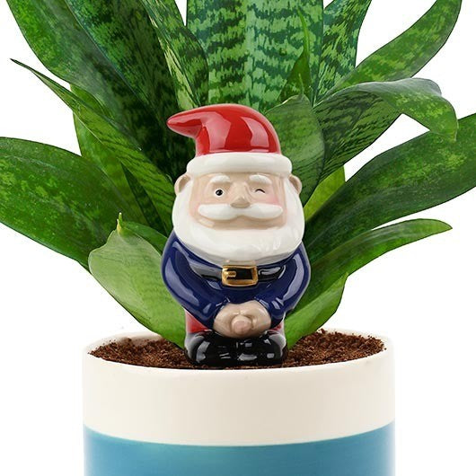 Self Watering Peeing Gnome Planter