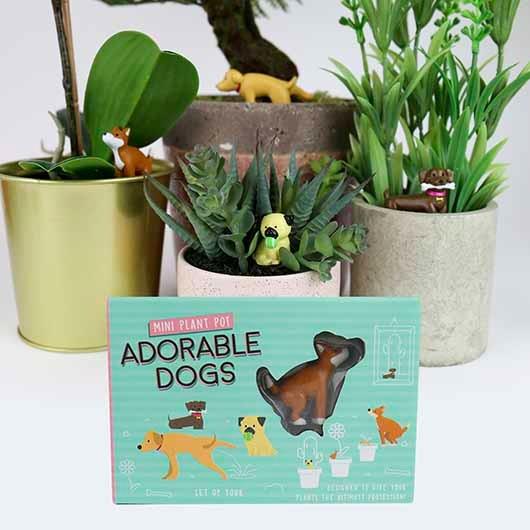 Mini Plant Pot Adorable Dogs, Set of 4