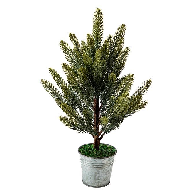 Pine Tree In Silver Tin Pot, 20"H