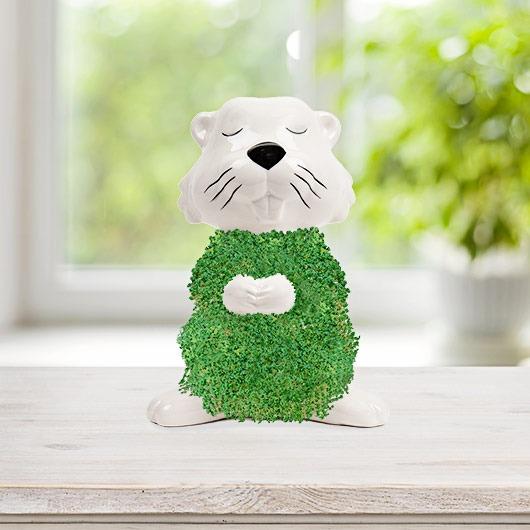 Hairy Beaver Chia Planter & Seeds