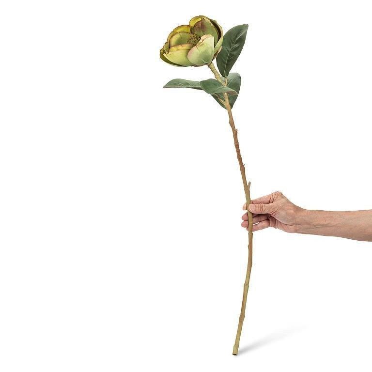 Medium Magnolia Bloom, 29&quot;