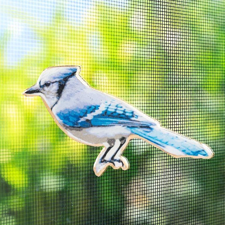 Blue Jay 2-Sided Magnet