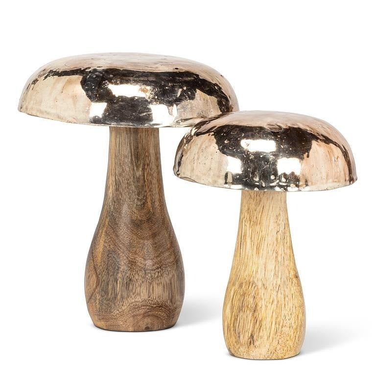 Mushroom with Burnished Silver Cap