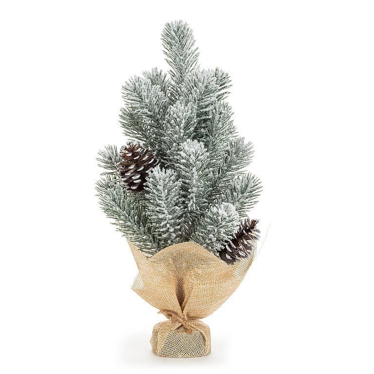 Thick Snow Dusted Pine Tree in Burlap