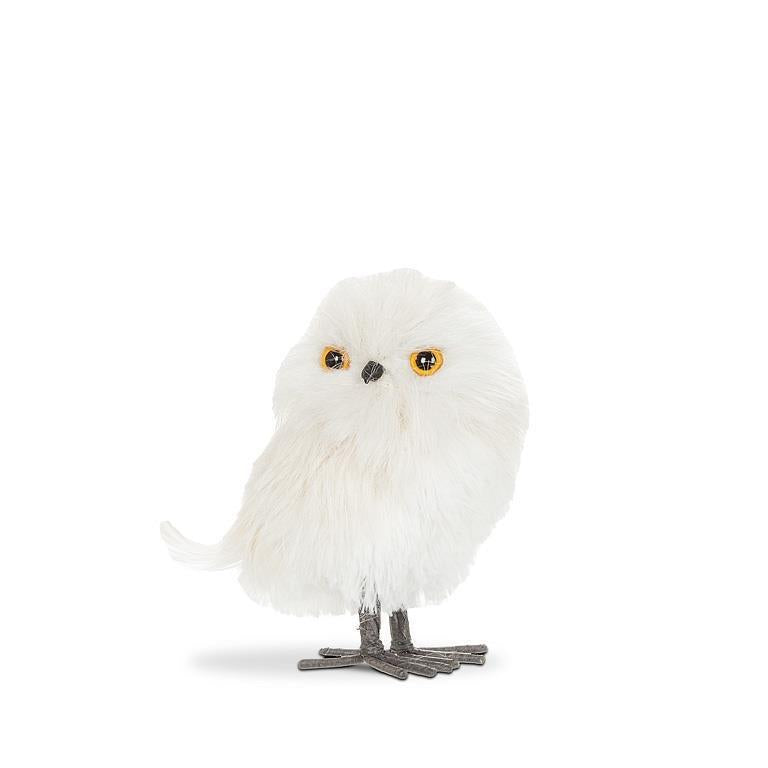 Small Fluffy Owl