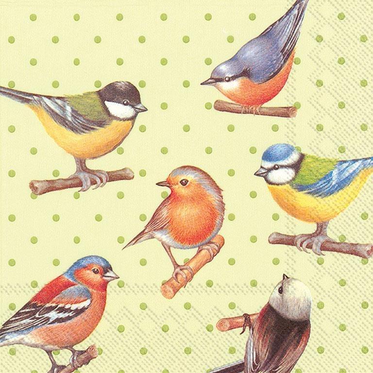 Birds on Dots Napkins, Pack/20