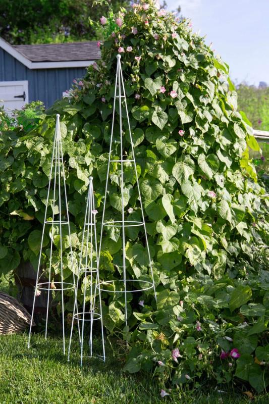 Wire Cone Trellis