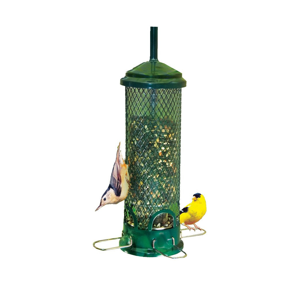 Squirrel Buster Mini Bird Feeder
