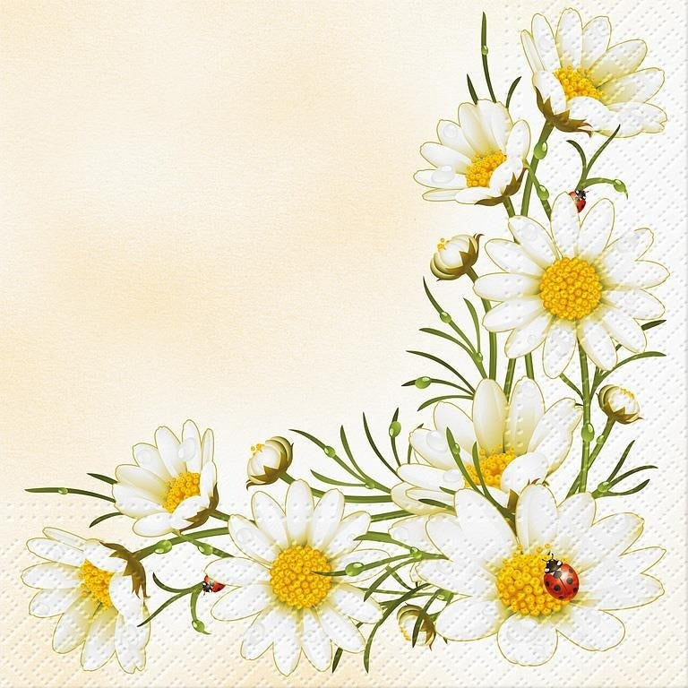 Bouquet of Daisies - Luncheon Paper Napkins - Pack/20