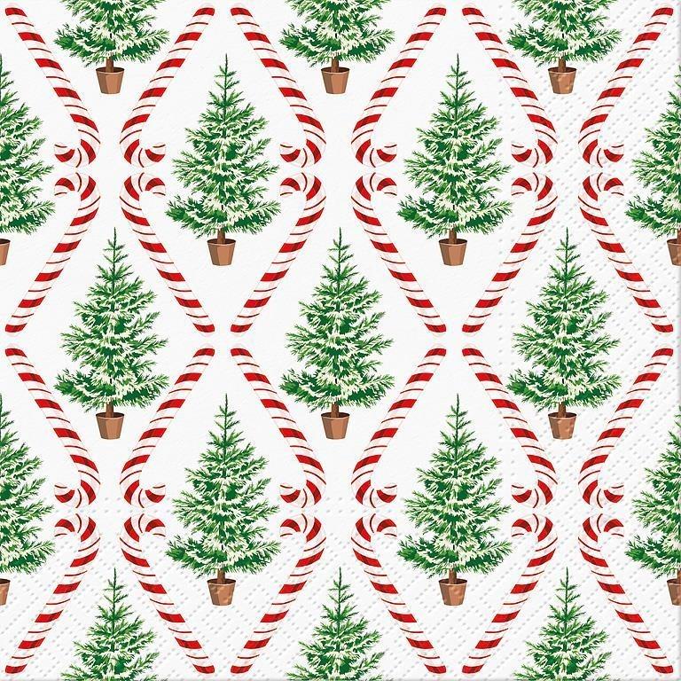 Candy Cane Forest - Luncheon Paper Napkins - Pack/20