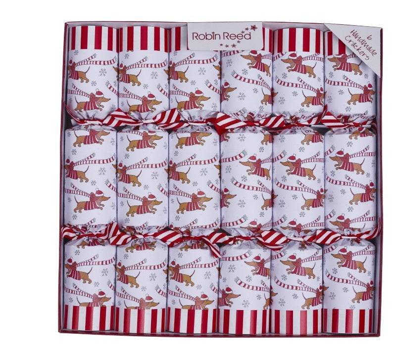 Racing Sausage Dog Christmas Crackers, Set of 6