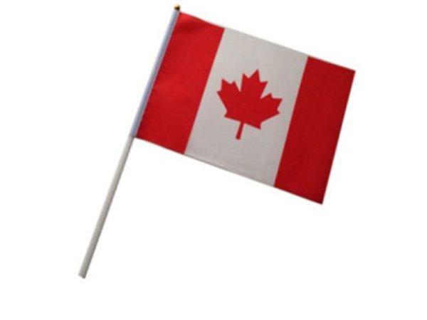 Canadian Flag With Pole (12&quot; x 18&quot;)