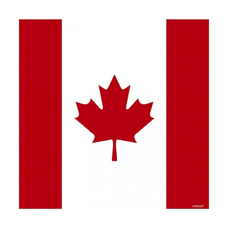 Canada Flag 3-Ply Paper Napkin, Pack 20