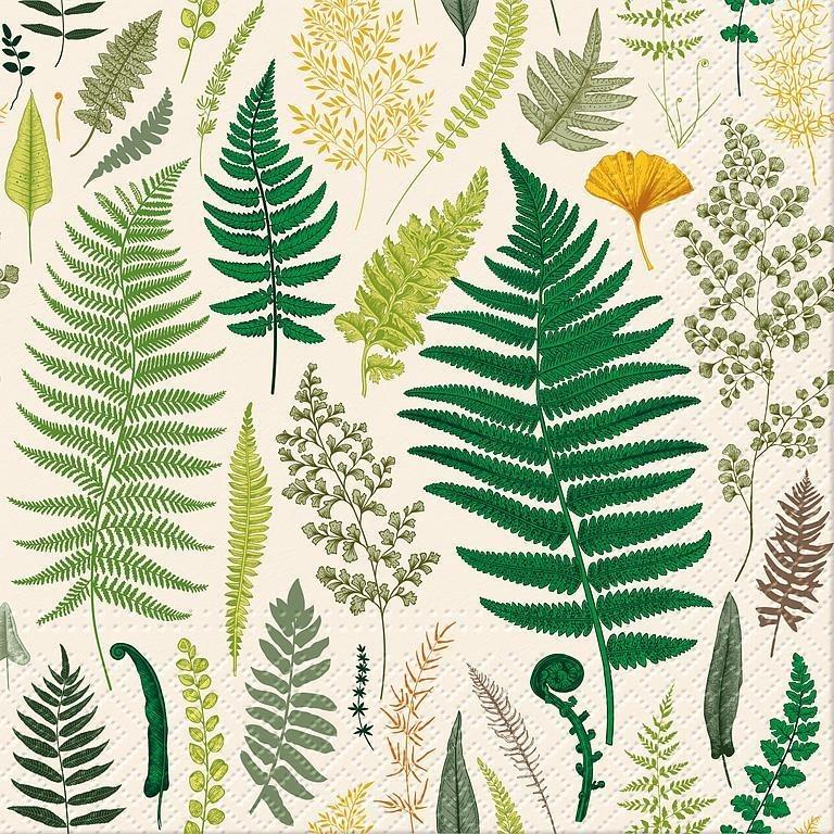 Botanical Memories Luncheon Napkin, Pack 20