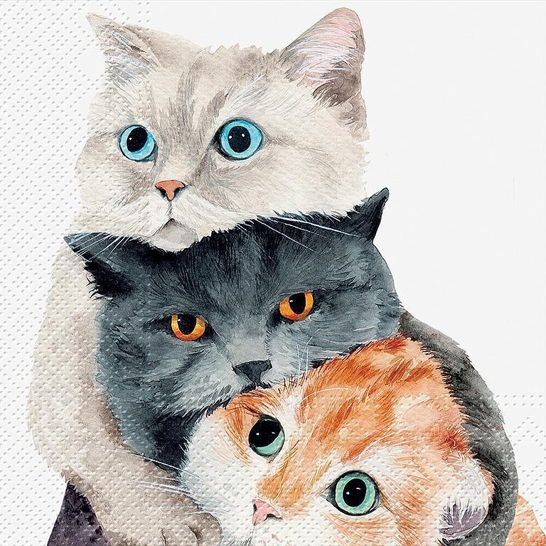 Better Together Cat Luncheon Napkins, Pack/20