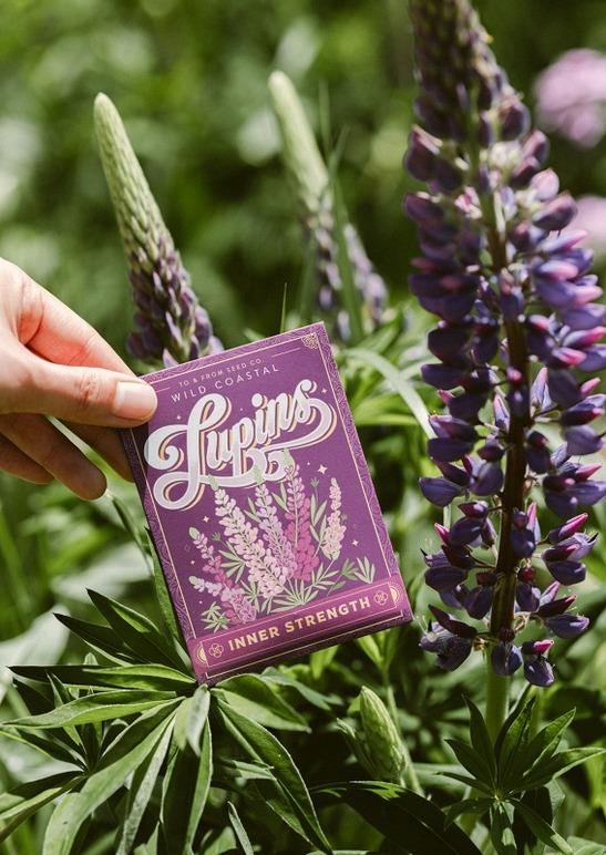Lupins (Inner Strength) - Floriography Seed Packet