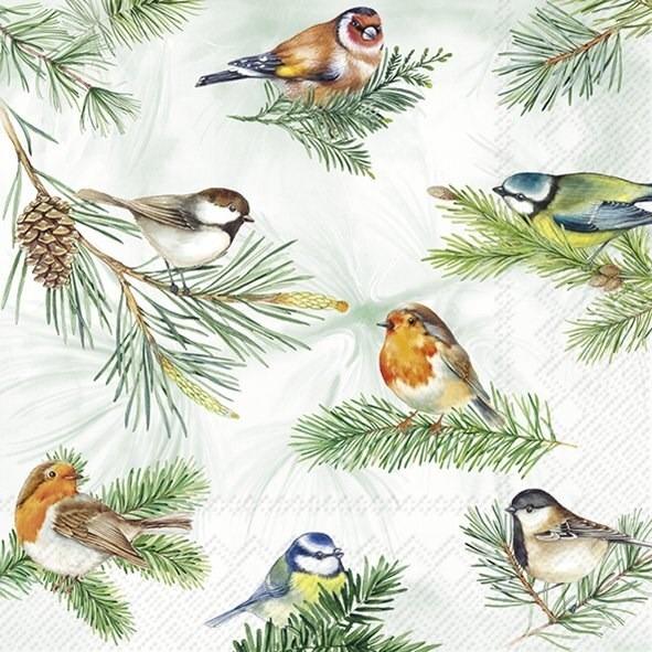 Charming Birds - Luncheon Paper Napkins - Pack/20