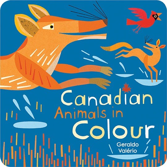 Canadian Animals in Colour Board Book