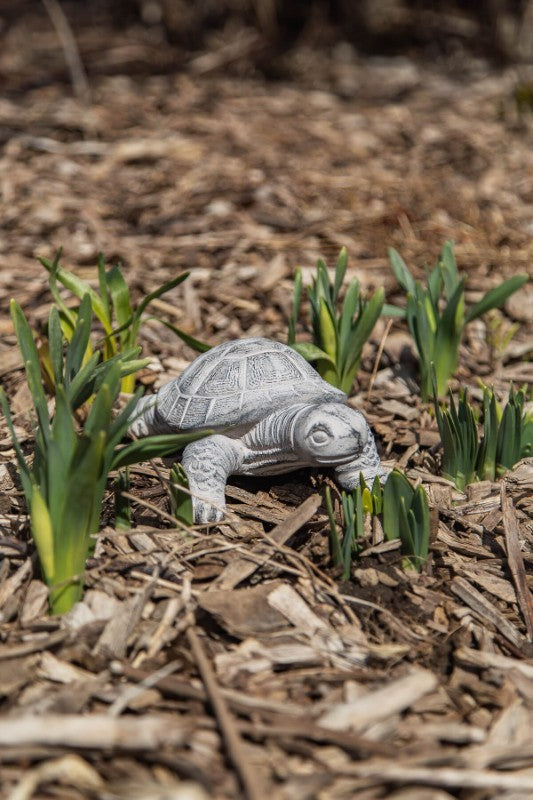 Cement Turtle Garden Figurine