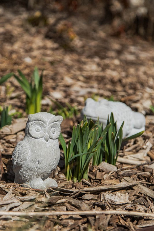 Cement Owl Garden Figurine