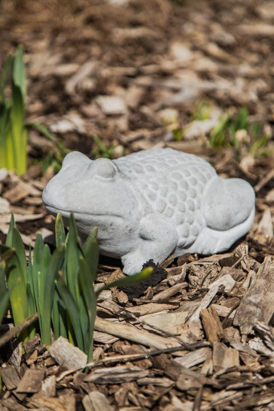Cement Frog Garden Figurine
