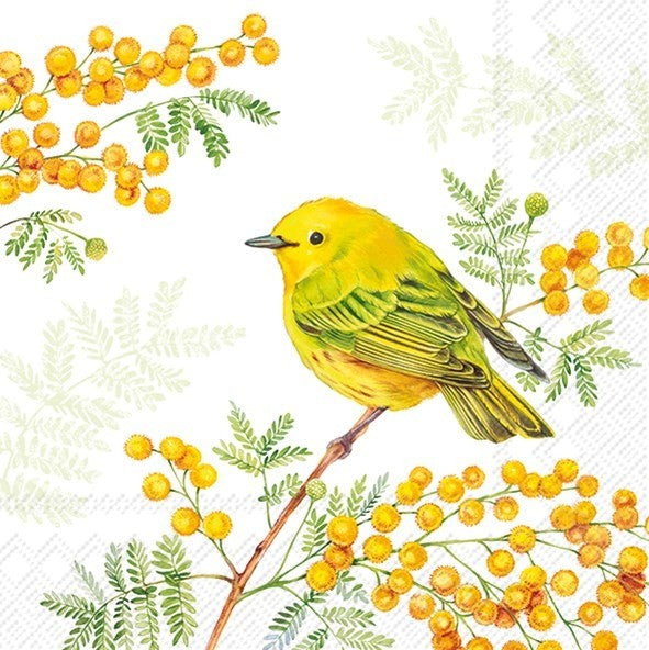 Joy Of Spring - Luncheon Paper Napkins - Pack/20