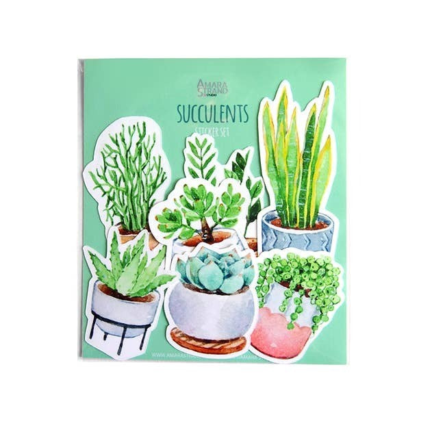 Succulents Sticker Set