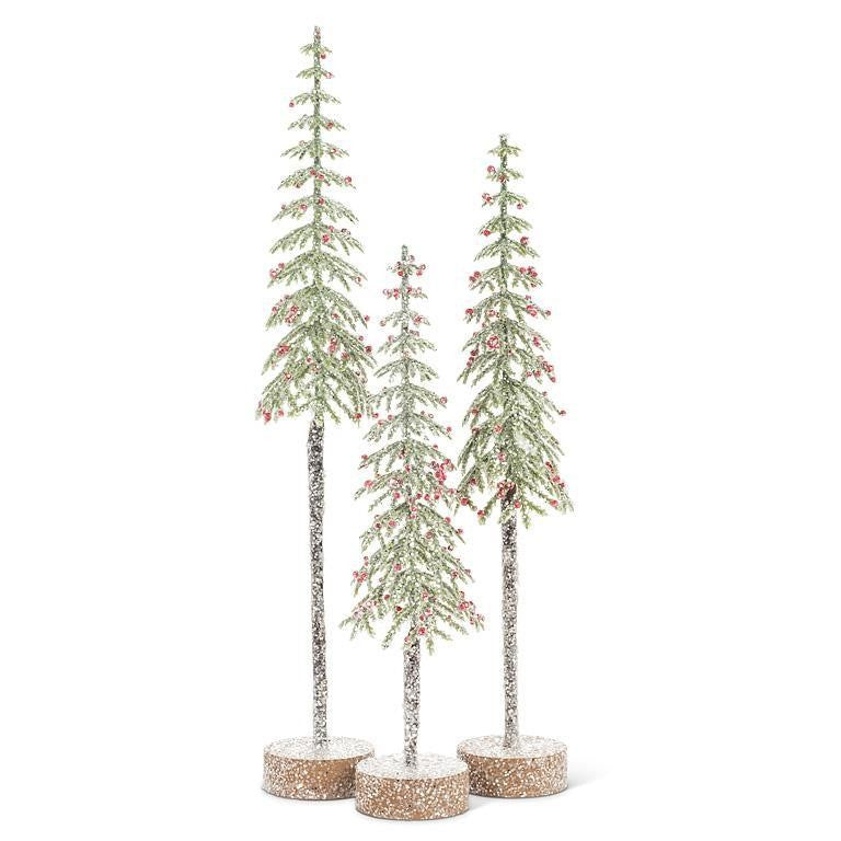 Tall Snowy Tree