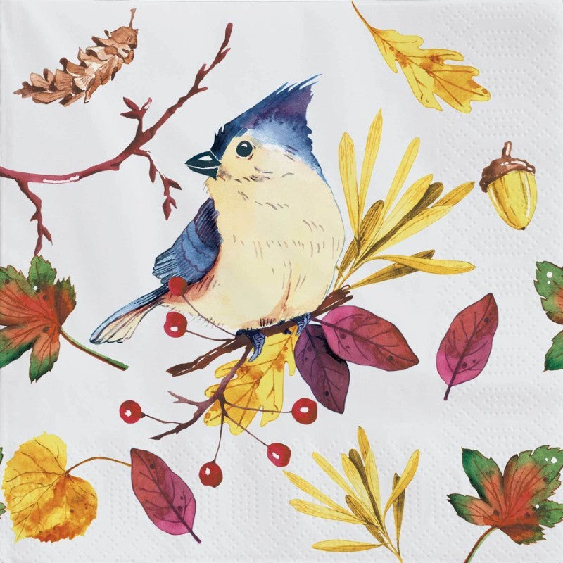 Funny Bird - Paper Napkins - Pack/20