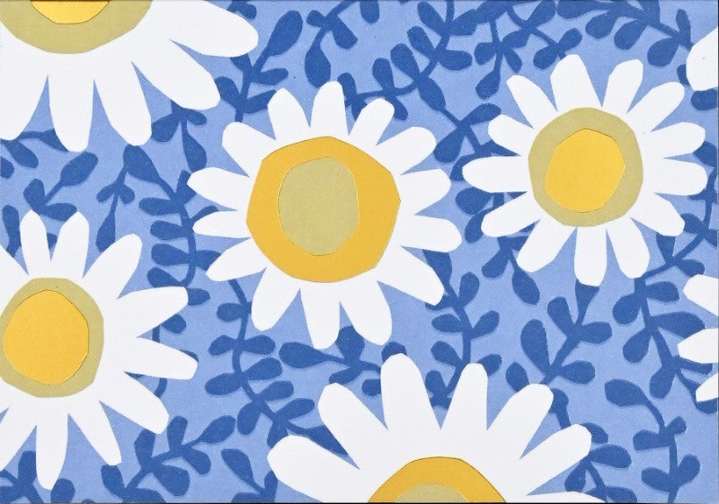 Daisies Note Cards, Box of 14