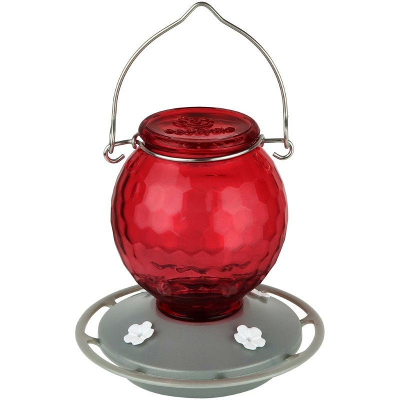 EcoCycle Crimson Comb Recycled Glass Hum. Feeder 16 oz