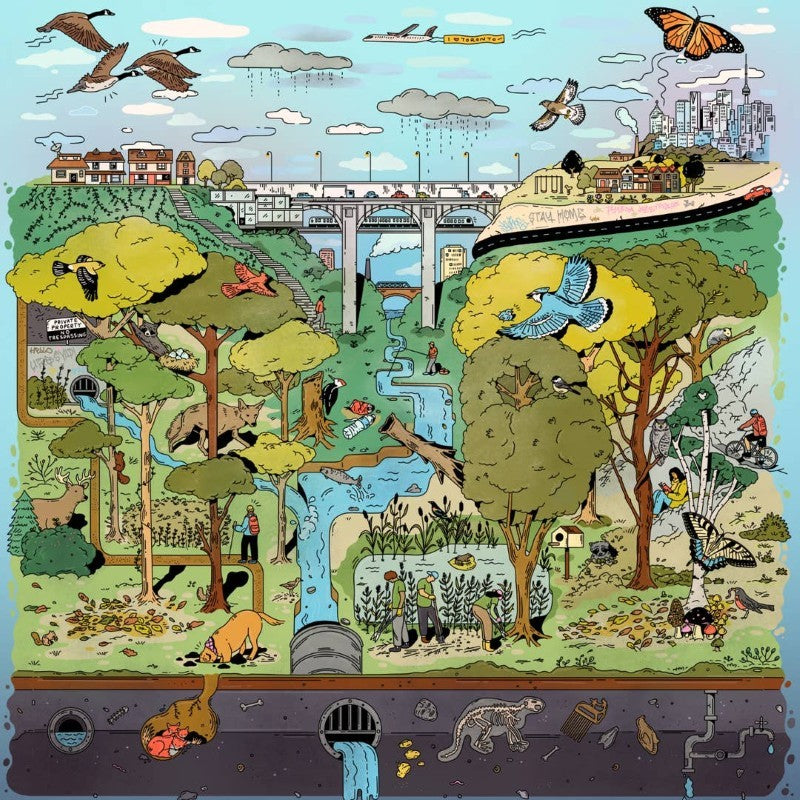 The Ravine | 1000-Piece Puzzle