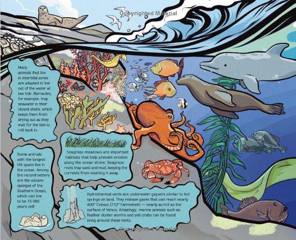 The Global Ocean, Hardcover Book