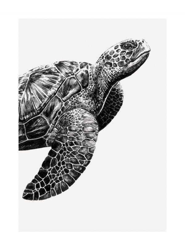 Ink & Shadow Sea Turtle Greeting Card. Blank inside for your words to shine through. 