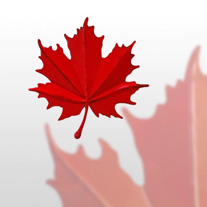 Small Metal Maple Leaf Wall Décor, 6"