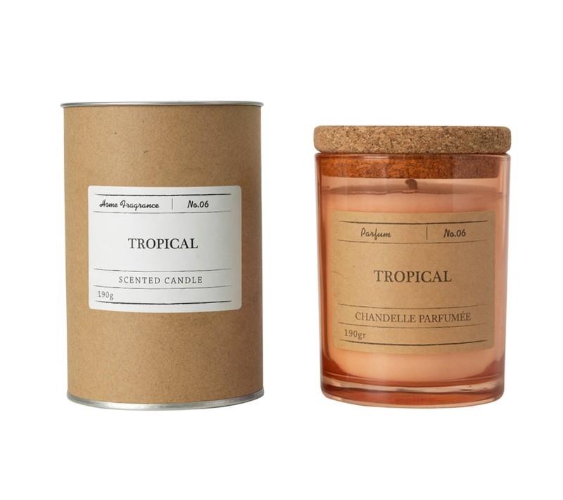 Home Fragrance Tropical Candle